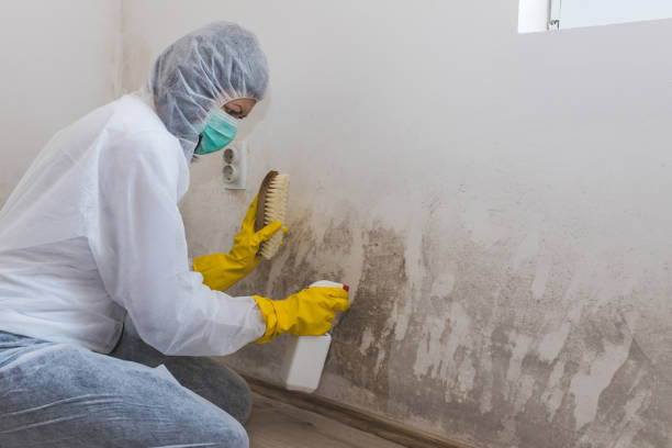 Best Biohazard Mold Removal  in China Spring, TX