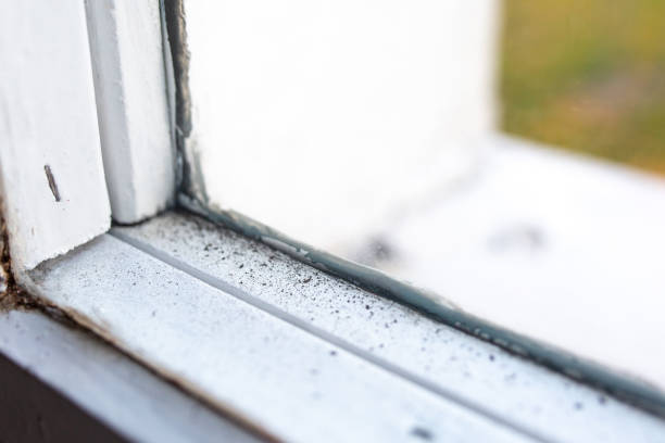 Best Indoor Air Quality Assessment  in China Spring, TX